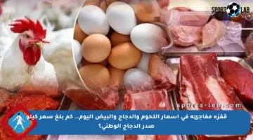 قفزة مفاجئة في أسعار اللحوم والدجاج والبيض اليوم.. كم بلغ سعر كيلو صدر الدجاج الوطني؟